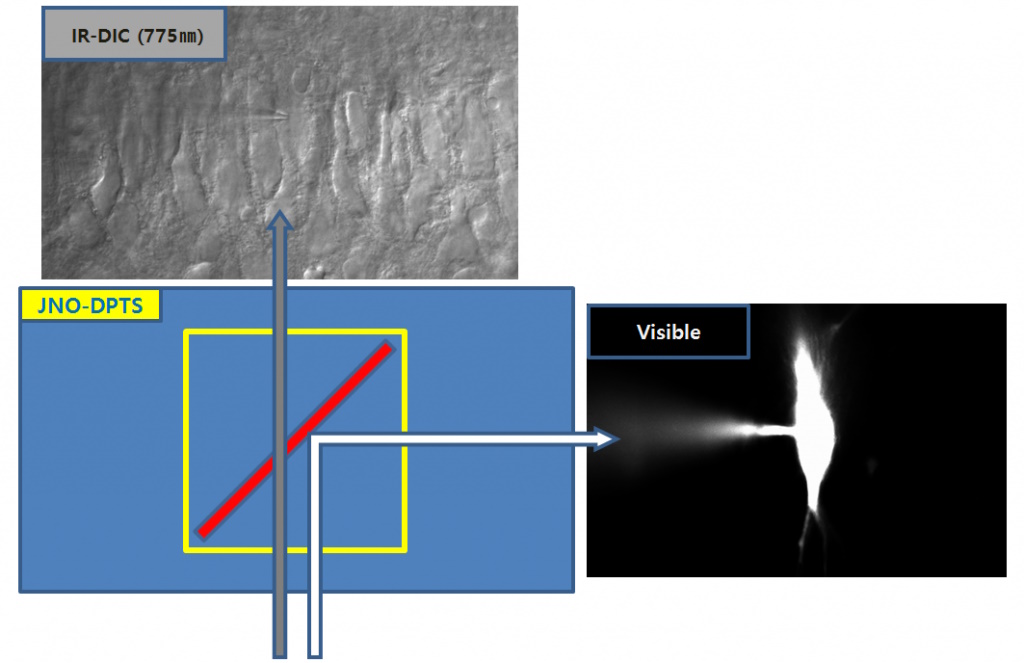 Optical path of JNO-DPTS