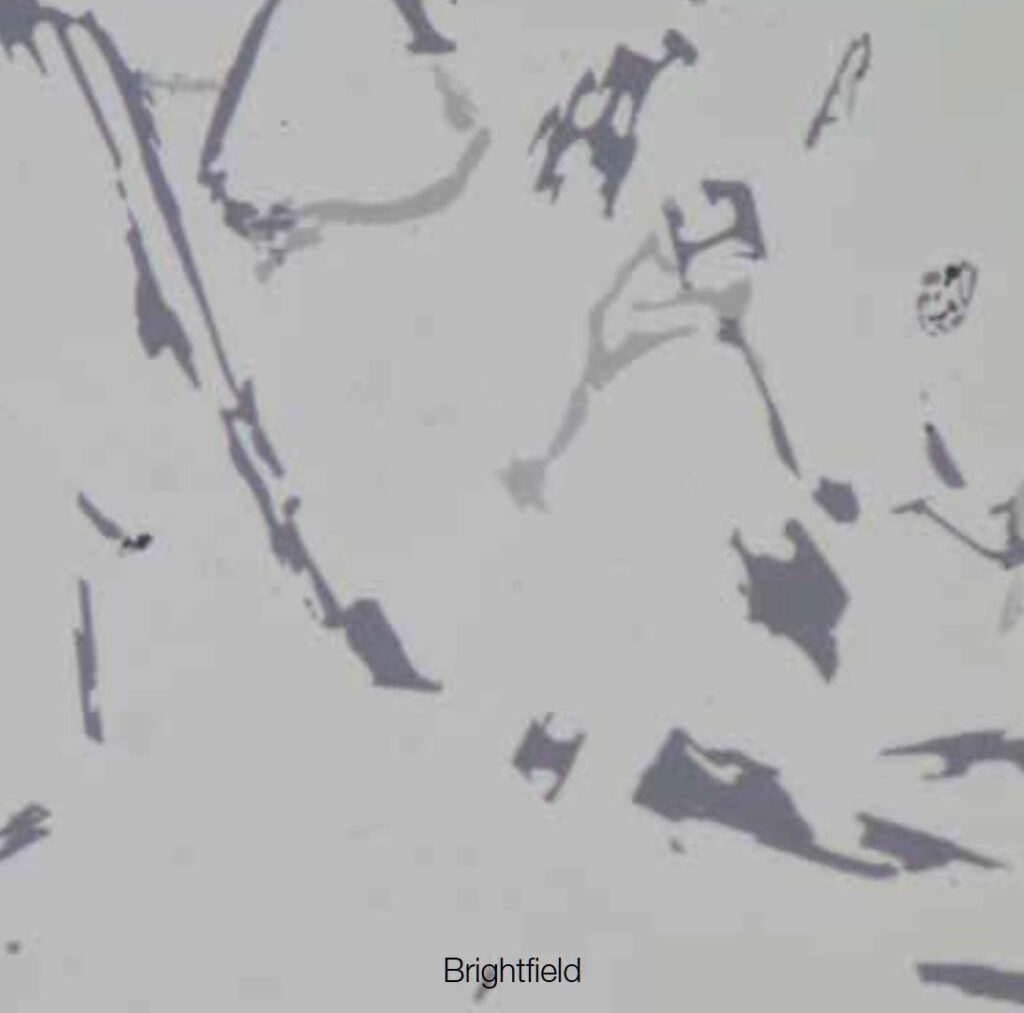 Bright Filed Image with BX53M