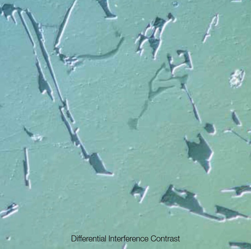 DIC Image with BX53M